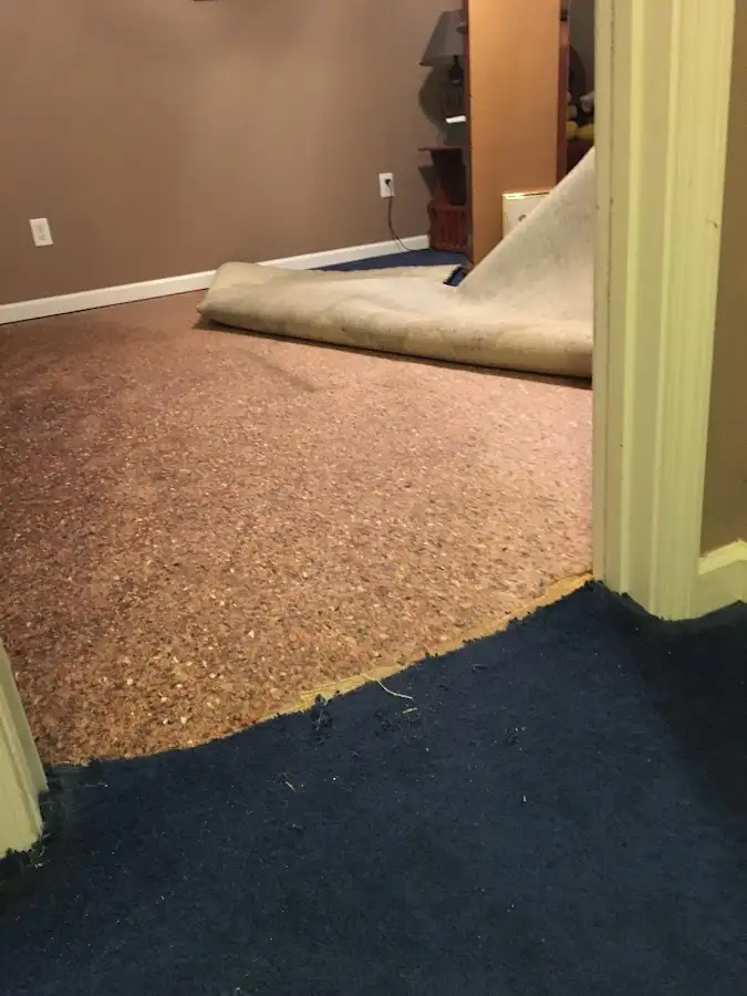 Carpet pad removal revealing water damage during Water Mitigation Services in Arlington Heights