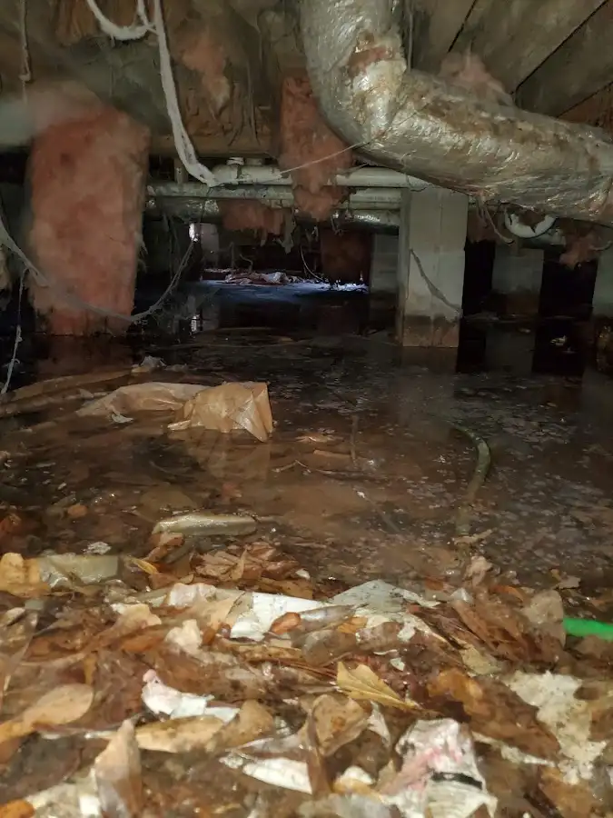 Crawl space flood assessment for Commercial Water Damage Restoration in Arlington Heights