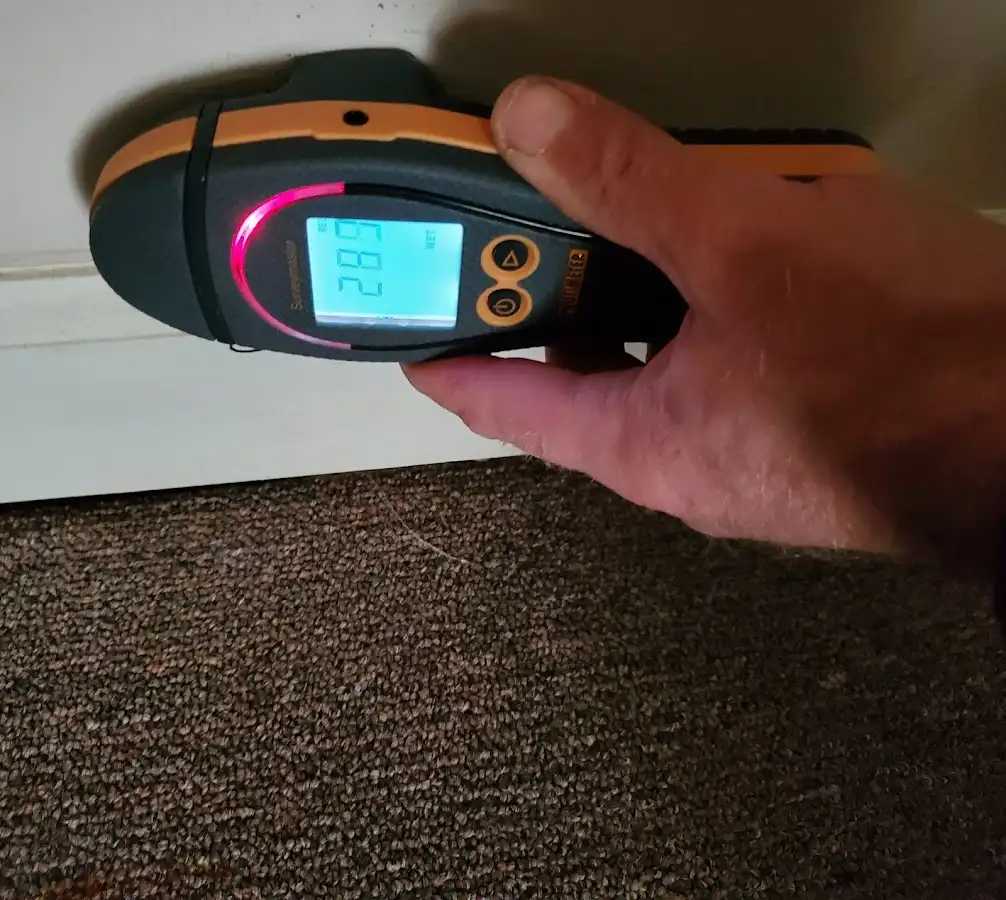 Moisture detection at baseboard during Burst Pipe Cleanup in Arlington Heights